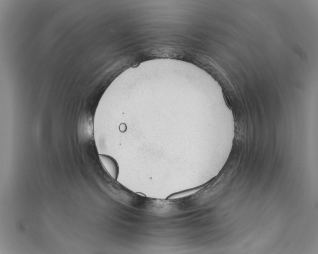 X0000110670095200907101115