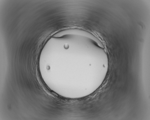 X0000110670097200907101115