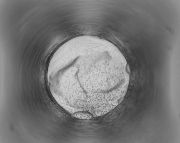 X0000110670098200907101115