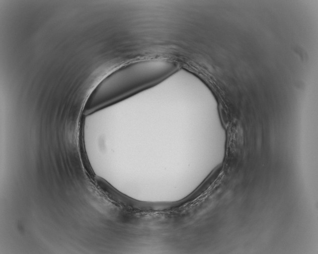 X0000110670100200907101115