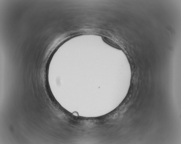 X0000110670103200907101115