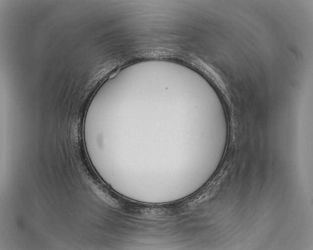 X0000110670105200907101115