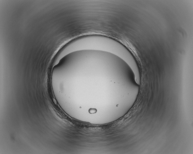 X0000110670108200907101114