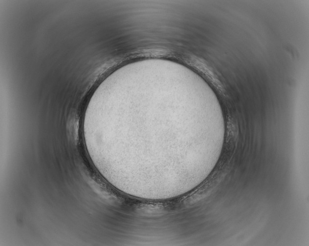 X0000110670110200907101114