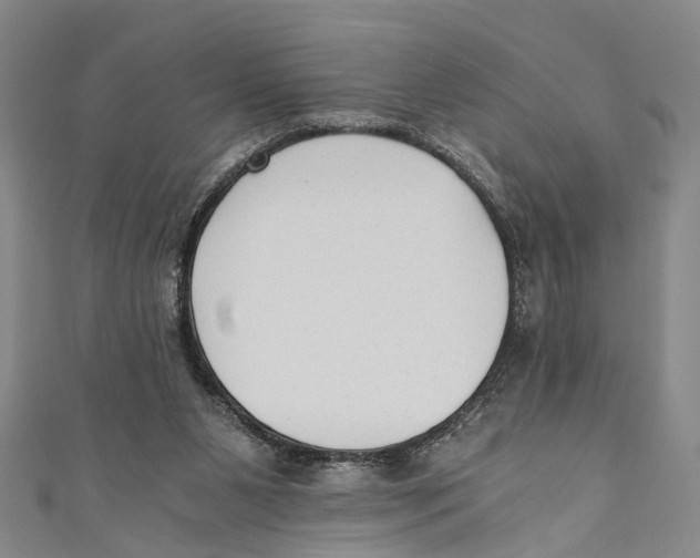 X0000110670111200907101114