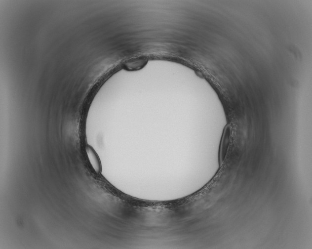 X0000110670112200907101114