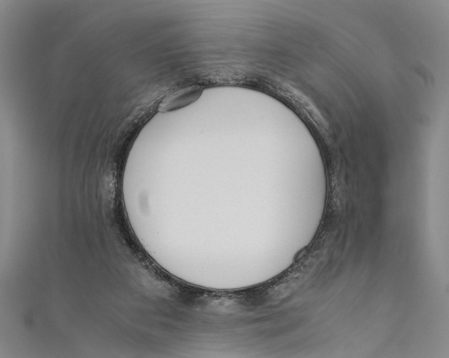 X0000110670113200907101114