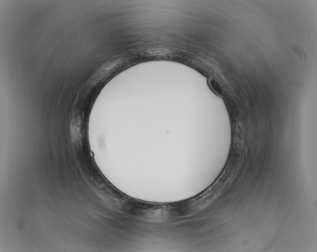 X0000110670116200907101114