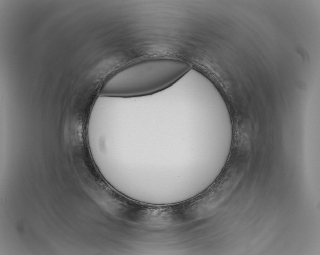 X0000110670117200907101114