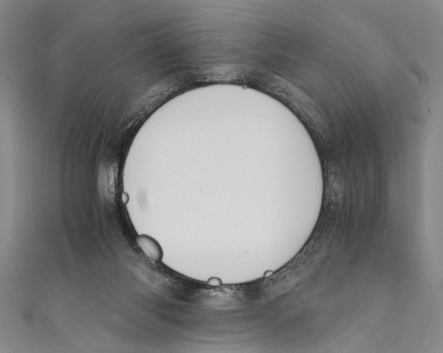 X0000110670118200907101114