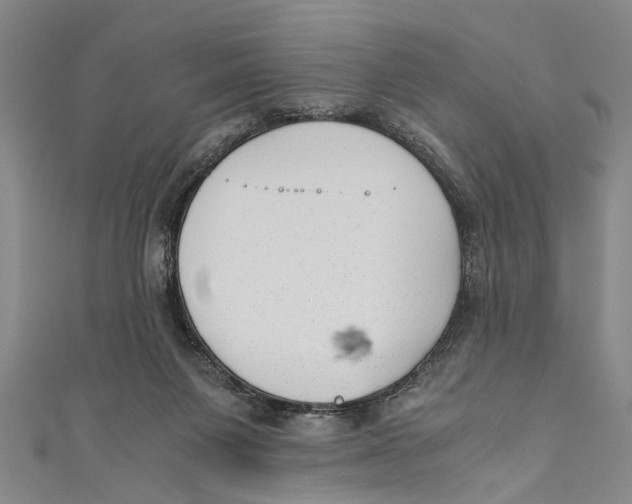 X0000110670119200907101114