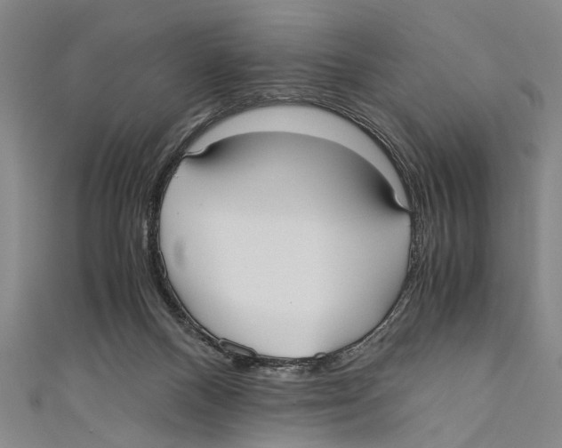 X0000110670120200907101114