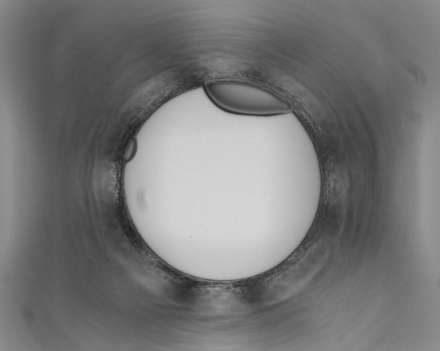 X0000110670121200907101114