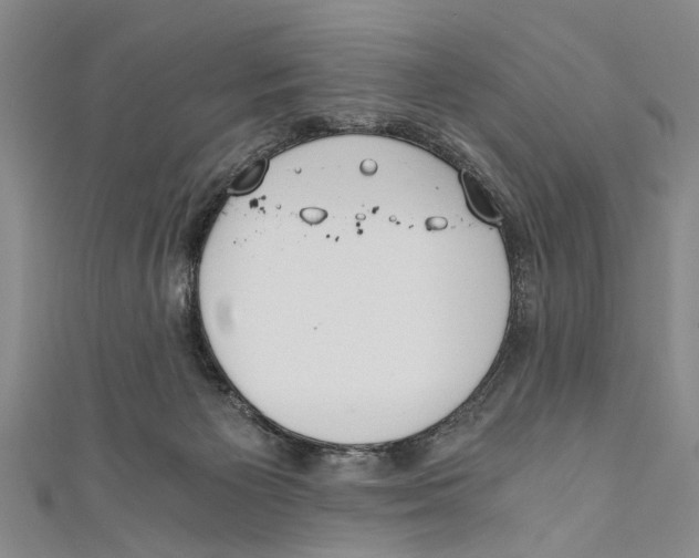 X0000110670125200907101114