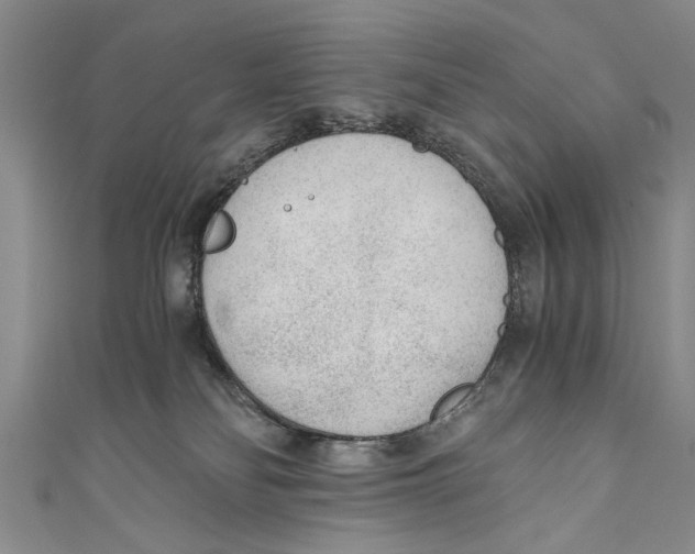 X0000110670134200907101114
