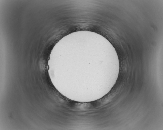 X0000110670135200907101114