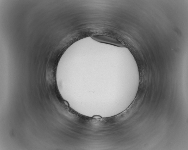X0000110670136200907101114