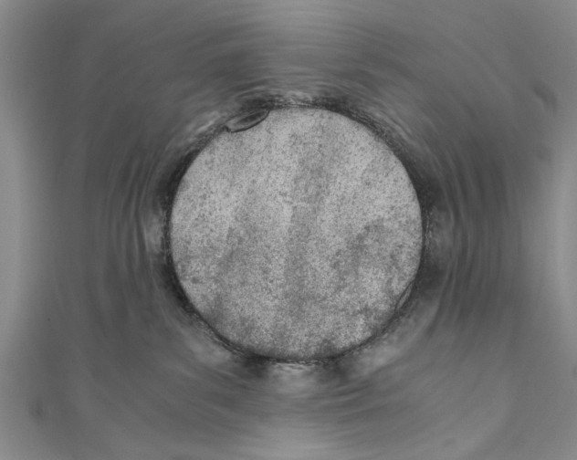 X0000110670139200907101114