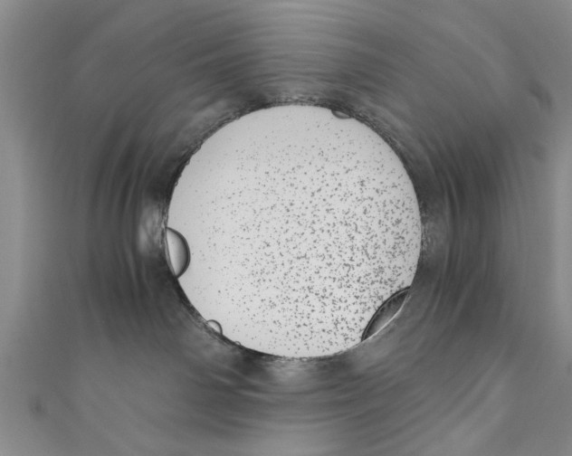 X0000110670142200907101114