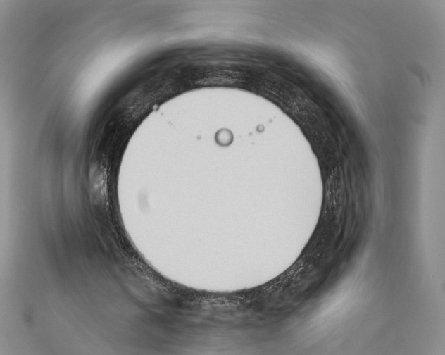 X0000110670146200907101113