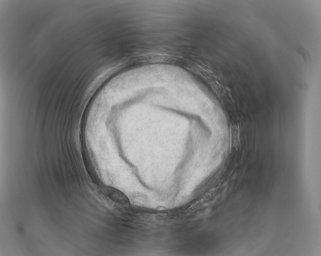 X0000110670147200907101113
