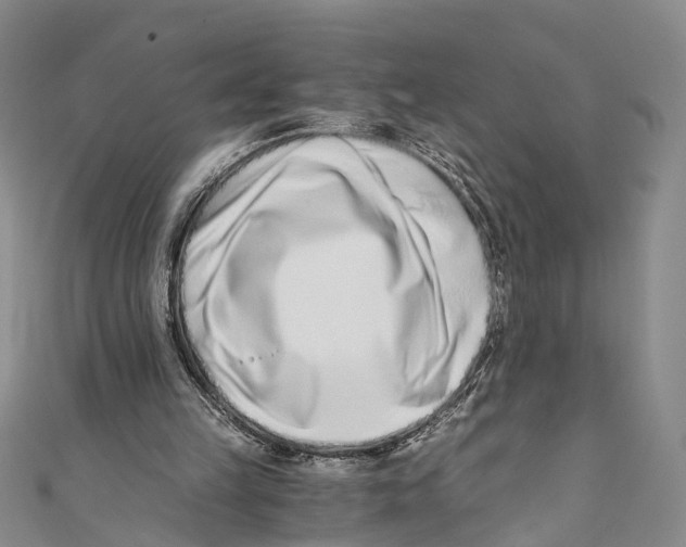 X0000110670149200907101113