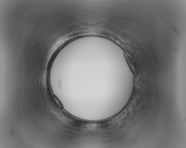 X0000110670152200907101113