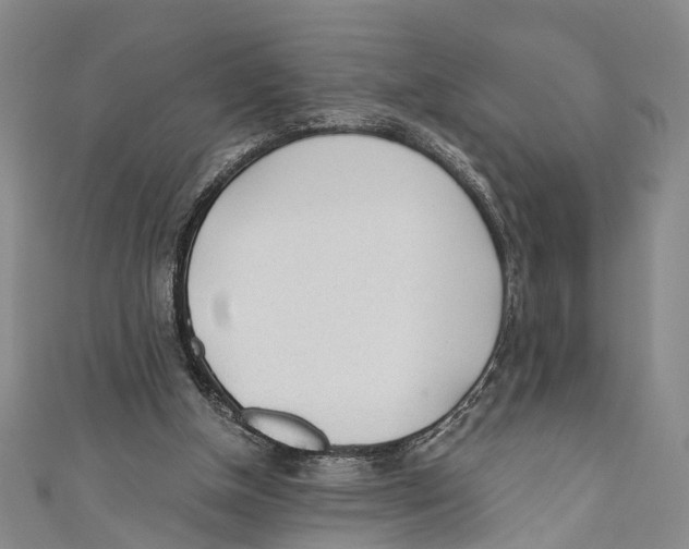 X0000110670154200907101114