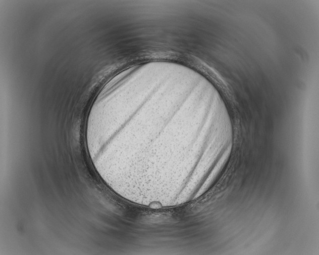 X0000110670155200907101114
