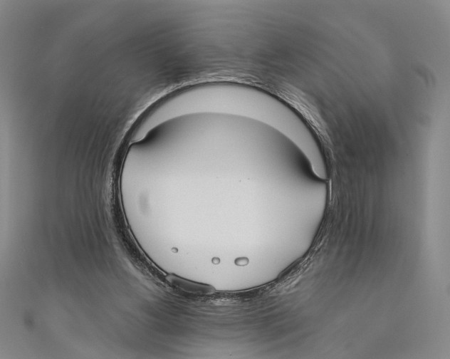 X0000110670156200907101114