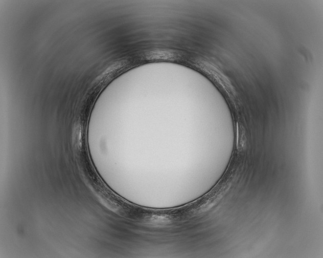 X0000110670157200907101114