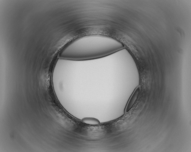 X0000110670160200907101114