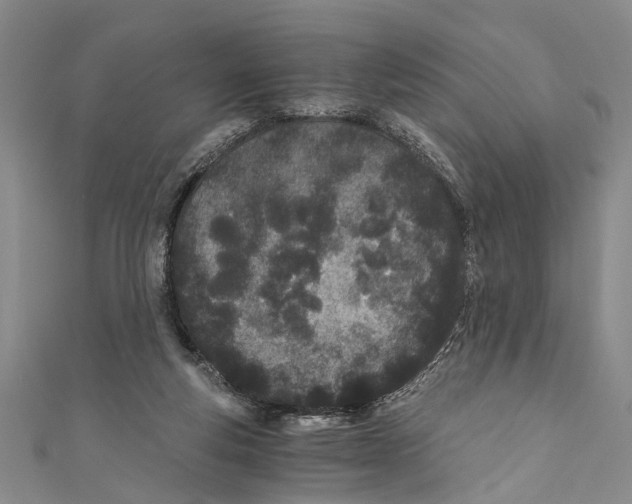 X0000110670163200907101114