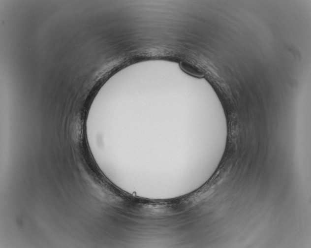 X0000110670164200907101114