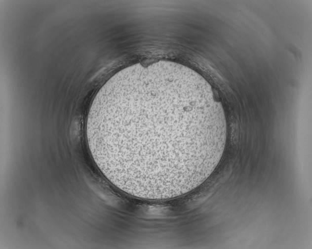 X0000110670165200907101114