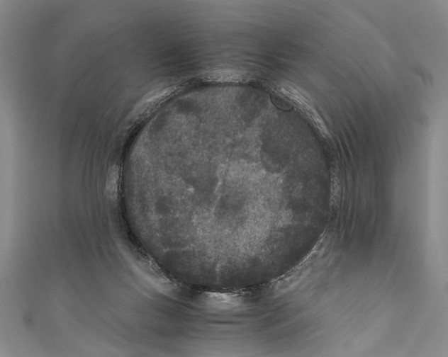 X0000110670167200907101114
