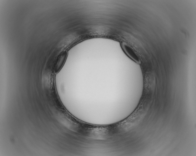 X0000110670168200907101114