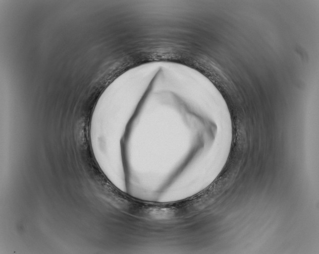 X0000110670169200907101114