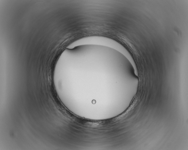 X0000110670170200907101114