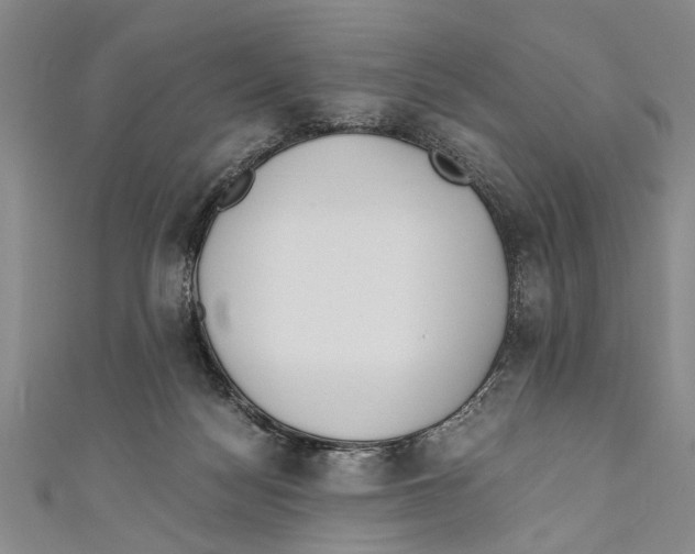 X0000110670172200907101114