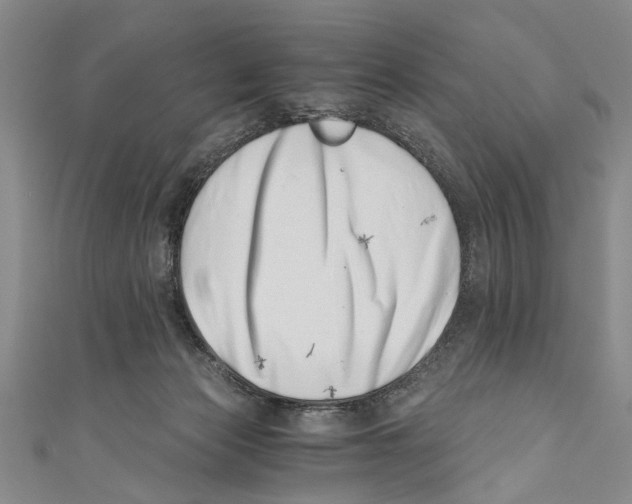 X0000110670173200907101114