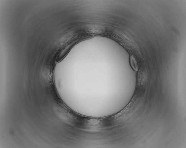X0000110670176200907101114