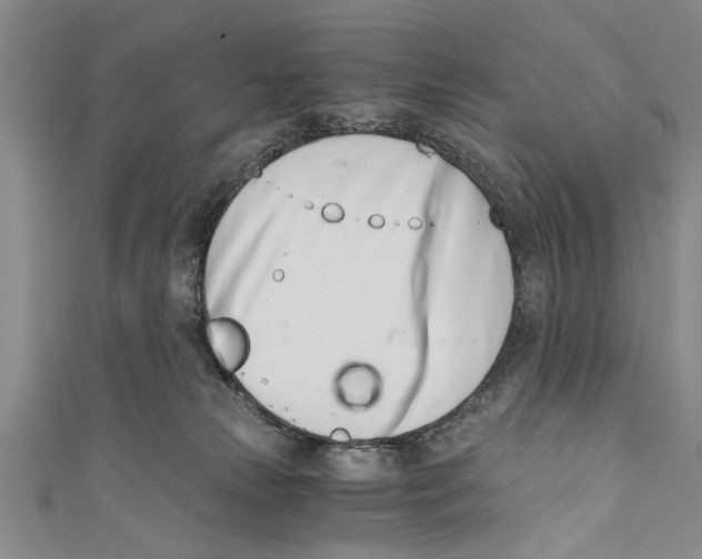 X0000110670181200907101114