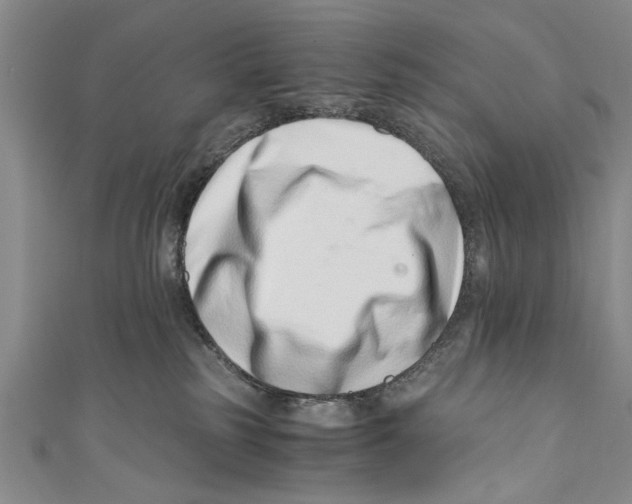X0000110670185200907101114