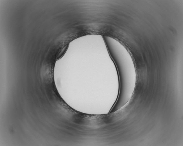 X0000110670186200907101114