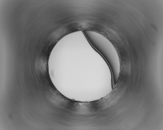 X0000110670188200907101114