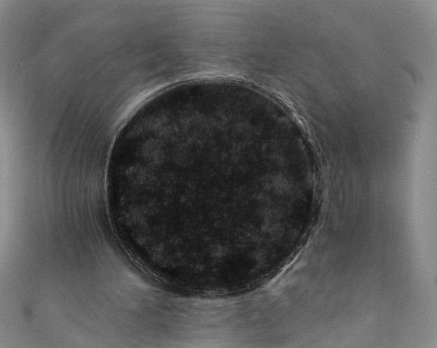 X0000110670196200907101113