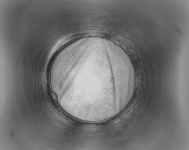 X0000110670198200907101113
