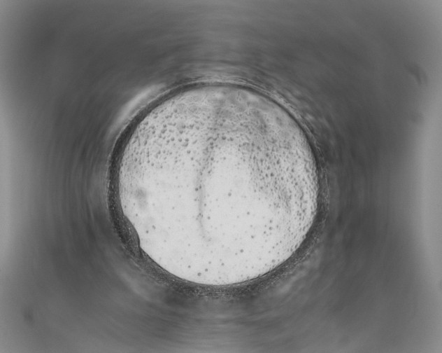 X0000110670199200907101113
