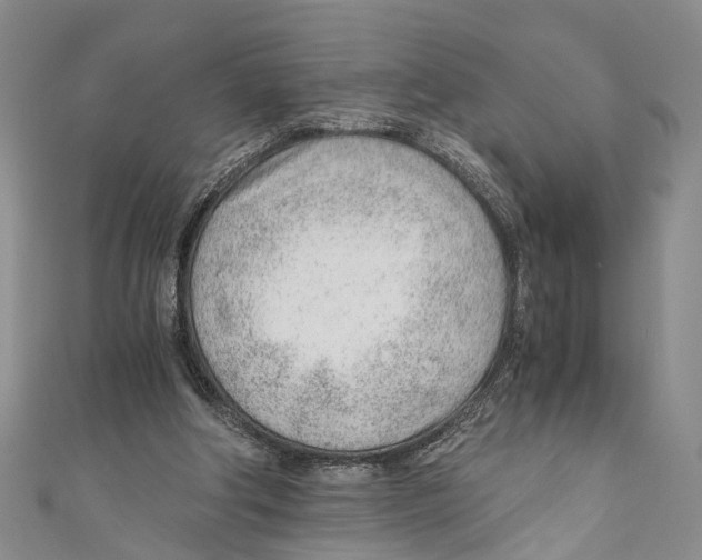 X0000110670202200907101113